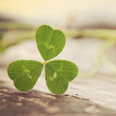 亚虎娱乐app下载手机app下载